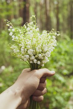 Beautiful white lilies of the valley in man's hand in the green spring sunny forest day. Spring, april, may, nature, beautiful plants