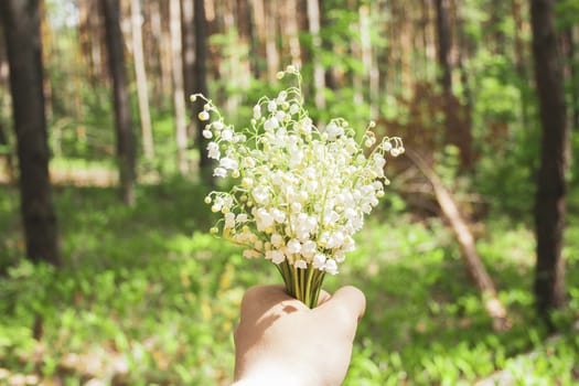 Beautiful white lilies of the valley in man's hand in the green spring sunny forest day. Spring, april, may, nature, beautiful plants