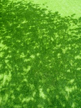 Texture of plastic artificial grass and the shadow of tree on football field