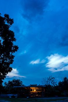 Silhouette of livestock and lighting in morning