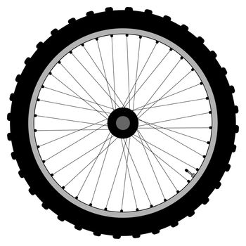 A knobly tyre on a bicycle wheel with valve and spoke nipples.