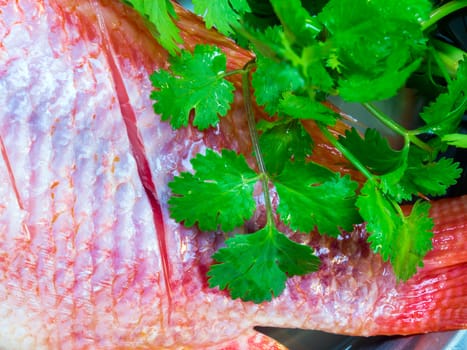 Fresh fish frosted raw food ingredient, Prepare to cooking