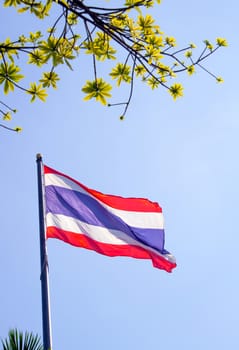 Thailand flag atop the flagpole and fresh leaves foreground and blue sky background