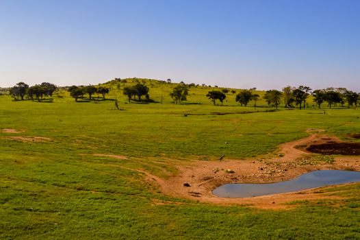 Landscapes of Tsavo West National Park in Kenya, Africa