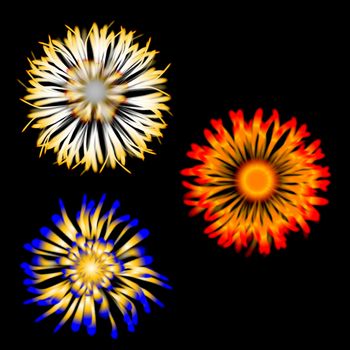 A selection of 3 abstract flowers