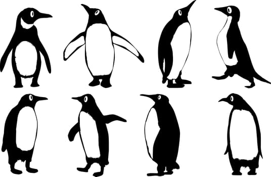 A collection of 8 vector penguins isolated on a white background.