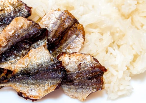 Close up isolated sticky rice and fried sun-dried fish, take home street food