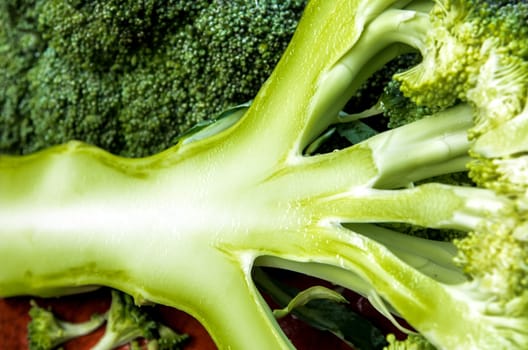 Close up to surface texture of succulent fresh inside the Broccoli vegetable