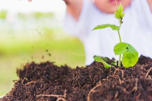 World Environment Day Environment Concept, Hand of Asian cute little cheerful child boy planting young tree on black soil on green garden background