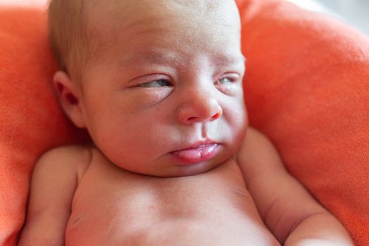 portrait serious stern baby which lies on an orange pillow.