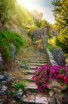 Picturesque view of Kotor old town , Montenegro