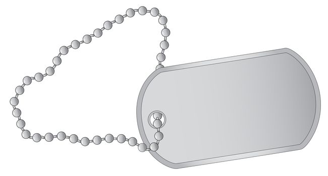 A military style dog tags with chain.