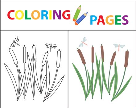 Coloring book page for kids. Reeds and dragonflies. Sketch outline and color version. Childrens education. illustration