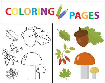 Coloring book page for kids. Forest set. Sketch outline and color version. Childrens education. illustration