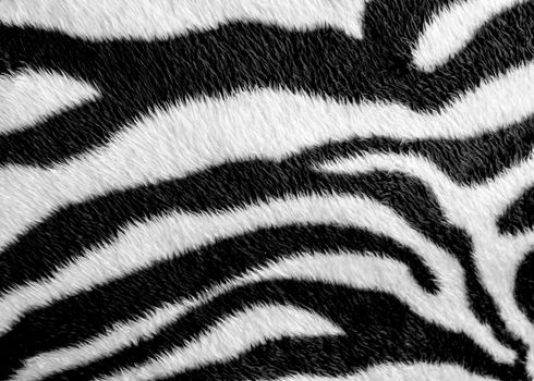 Zebra skin pattern leatherette fabric