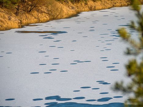 Winter Landscape with water circles and conifers On Beach. frozen lake, snow texture close-up. Abstract shapes. Tallinn, Estonia. Panoramic view. Copy space for text. Image for wallpaper and desktop