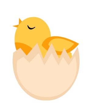 Nestling hatched from egg, yellow chicken icon, flat style. Isolated on white background. illustration, clip-art