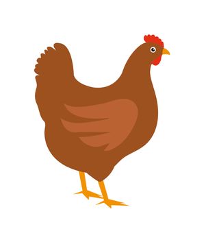 Chicken icon, flat style. Isolated on white background. illustration, clip-art