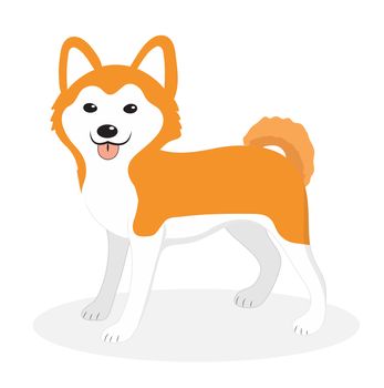 Akita Inu breed dog icon, flat, cartoon style. Cute puppy isolated on white background. illustration, clip-art