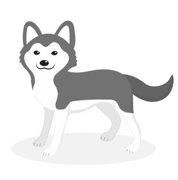 Husky breed dog icon, flat, cartoon style. Cute puppy isolated on white background. illustration, clip-art