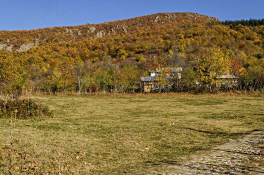 Amazing autumn view of glade, hill, forest with deciduous trees and residential district of the pretty village Zhrebichko, Bratsigovo municipality,  Rhodope mountains, Bulgaria