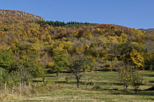 Amazing autumn view of glade, hill, forest with deciduous trees  near to pretty village Zhrebichko, Bratsigovo municipality,  Rhodope mountains, Bulgaria