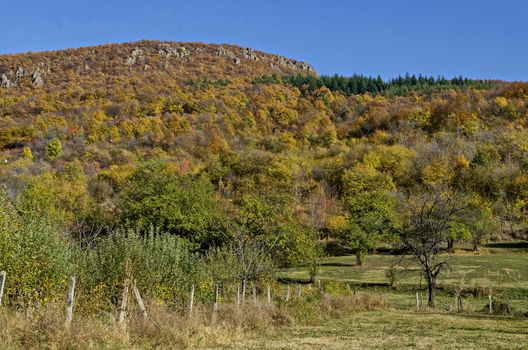 Amazing autumn view of glade, hill, forest with deciduous trees  near to pretty village Zhrebichko, Bratsigovo municipality,  Rhodope mountains, Bulgaria