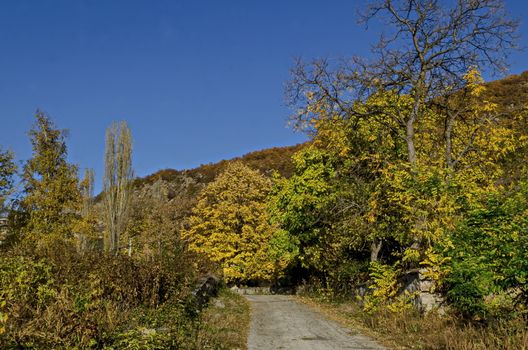 Amazing autumn view of glade, hill, forest with deciduous trees and road near to pretty village Zhrebichko, Bratsigovo municipality,  Rhodope mountains, Bulgaria