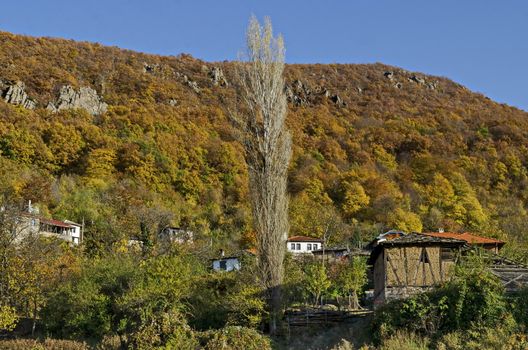 Amazing autumn view of glade, hill, forest with deciduous trees and residential district of the pretty village Zhrebichko, Bratsigovo municipality,  Rhodope mountains, Bulgaria