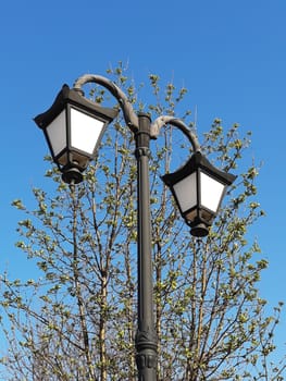 Street lamp against the background of a blossoming spring tree and blue sky.