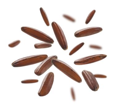 Raw brown rice levitates on a white background.