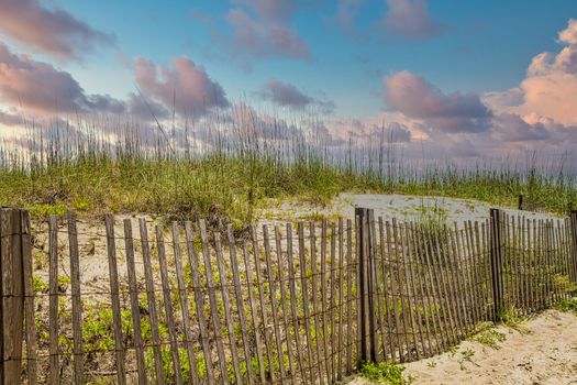 An old wood fence among sand dunes and sea oats on the beach