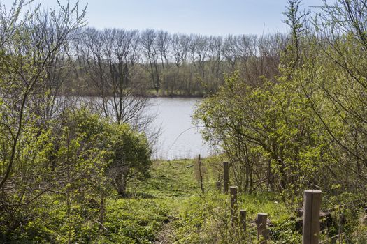 view over south holland water with a small path in front with trees and trees as background