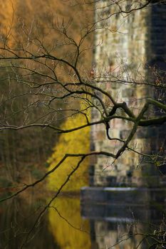 Bare, spidery tree branch by the side of a reservoir with the foot of a railway aqueduct arch in the background