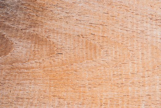 Old wood board, copy space wooden texture pattern background