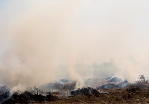 Dense dust and smoke from burning stubble in agricultural areas along the road after harvest