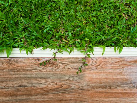 Butt joints of Green grass and Wooden tiles terrace