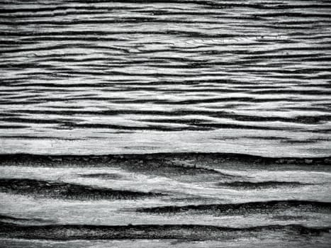 Texture surface of old wooden board / black and white