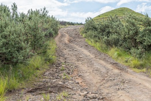 The road to the start of the Sentinel hiking trail to the Tugela Falls