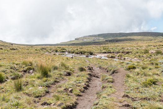 The Sentinel hiking trail to theTugela Falls crossing the Tugela River near its source