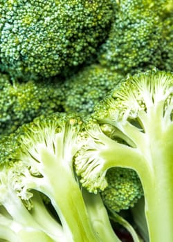 Close up to surface texture of succulent fresh inside the Broccoli vegetable