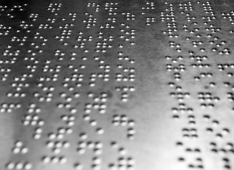 Braille code for blind on the metal board for the detailed description Inside the zoo