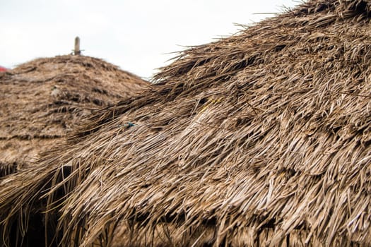 Roofs made of materials from the blade of grass