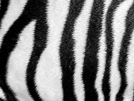 Zebra skin pattern leatherette fabric