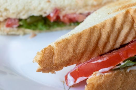 A toasted tomato sandwich with lettuce and mayonaise sits on a white plate, cut diagonally and served for lunch. A close-up view of one side obscures a blurred cross-section behind it.