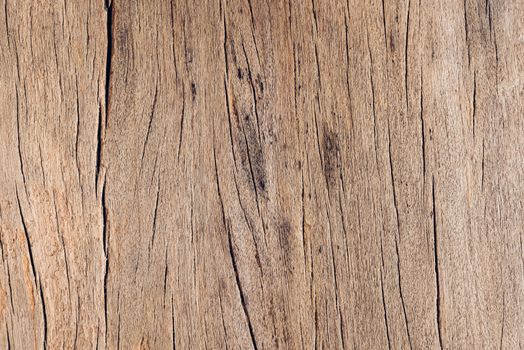 Old wood board, copy space wooden texture pattern background