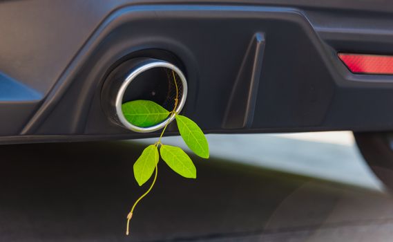 Eco electric hybrid car Environmental concept of the green leaf in exhaust muffler fuel efficient instead smoke can help stop carbon dioxide