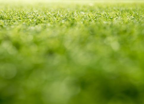 Texture of plastic artificial grass of soccer field by shallow depth of field