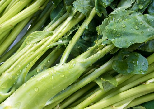 Thai Morning glory and Chinese Kale wash in water