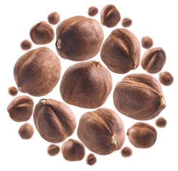 Peeled hazelnut levitates on a white background.